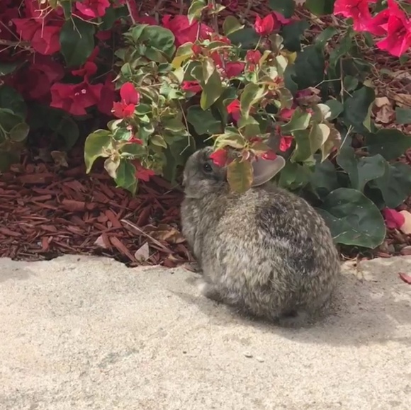 Meet your Posher, C - Picture 2 of 2